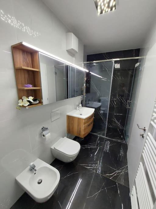Luxury Apartment Ljubljana Dış mekan fotoğraf